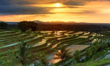 2D1N Jatiluwih & Tanah Lot Sunset Tour