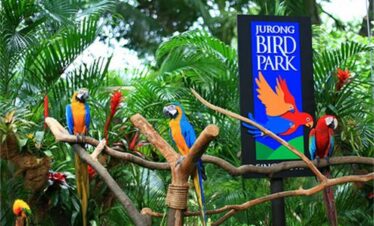 2D1N Explore Ubud: Nature & Culture