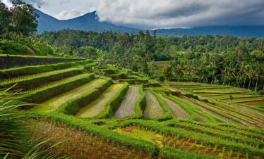 5D4N Ultimate Bali Heritage & Nature Tour