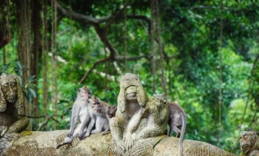 4D3N Ubud Culture & Adventure Tour